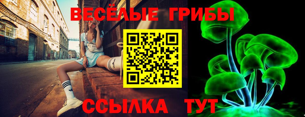 Галлюциногенные грибы мухоморы Красный Сулин